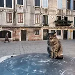 Melusina Ca\' Bernarda Venice Historical Center